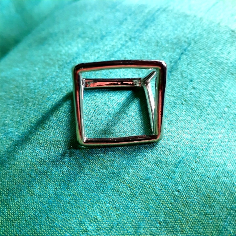 Transparent frame ring